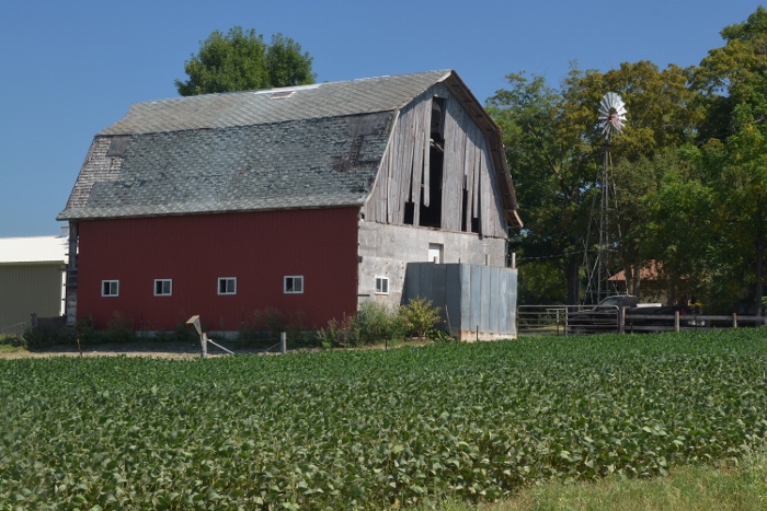 along Highway 46, Rice County